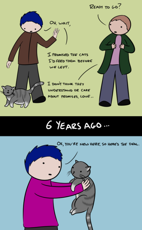 dirstel:  withtimeonmyhands:  robothugscomic:  New comic! (link) I don’t care if they can’t understand me. They may be garbage cats, but they’re my garbage cats.   I’M NOT CRYING YOU’RE CRYING.  I’M DEFINITELY NOT CRYING IT MUST BE YOU. 