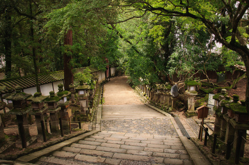 hachimitsu: 奈良 春日大社: Nara Kasuga Taisha (by Franek N) 