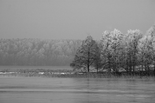 thephotographerssociety: radekrogus:  Winter ‘05  Great b&w quality with a peaceful feeling.Yian