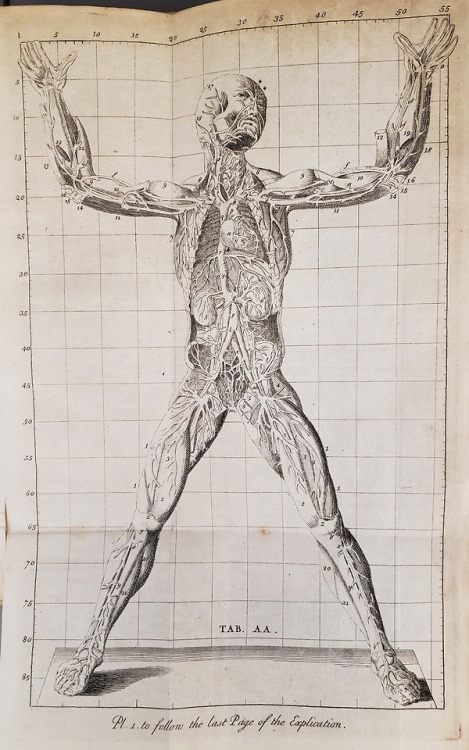 From: Winslow, Jacques Bénigne, 1669-1760. An anatomical exposition of the structure of the human bo