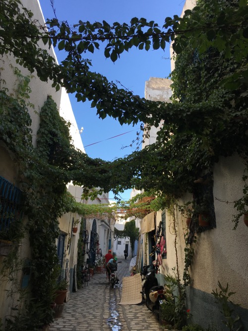 tunisienne:La Medina, Tunis, Tunisia.