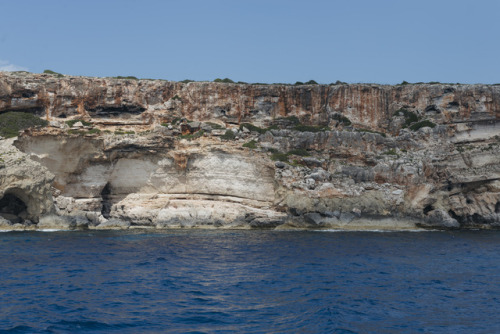 Mallorca, 2017.