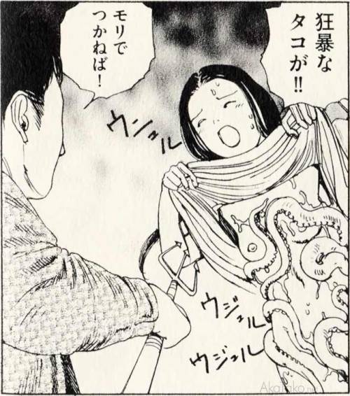 akatako - from “Ibutsu Konnyu”by Shintaro Kago