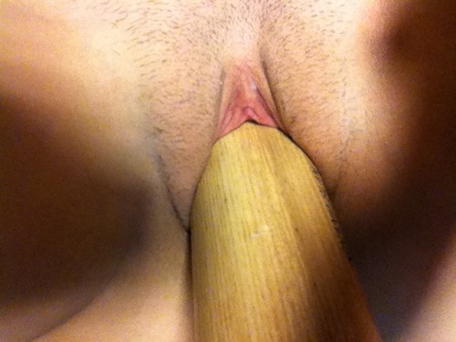 some6911:  I love fucking my bat, always hard and filling stretches my cunt and it pleases my master a lot