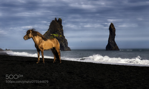 Iclandic icons by wolfgangpronai