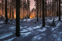 magneticnorthblog:  Looking forward to winter. The cold nordic magic photographed by the Finnish photographer Mikko Lagerstedt.  