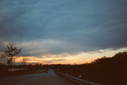 perfectmadness:  (by Tamara Lichtenstein) 