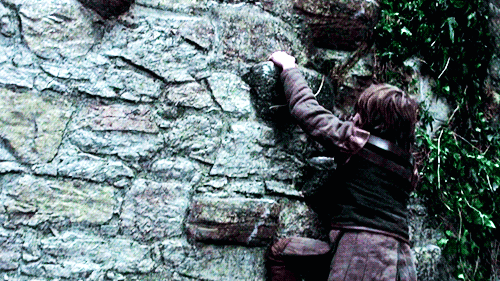 stormborns:Chapters of A Song of Ice & Fire - A Game of Thrones - Bran II     To a boy, Winterfe