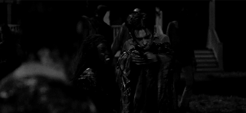we are the walking dead
