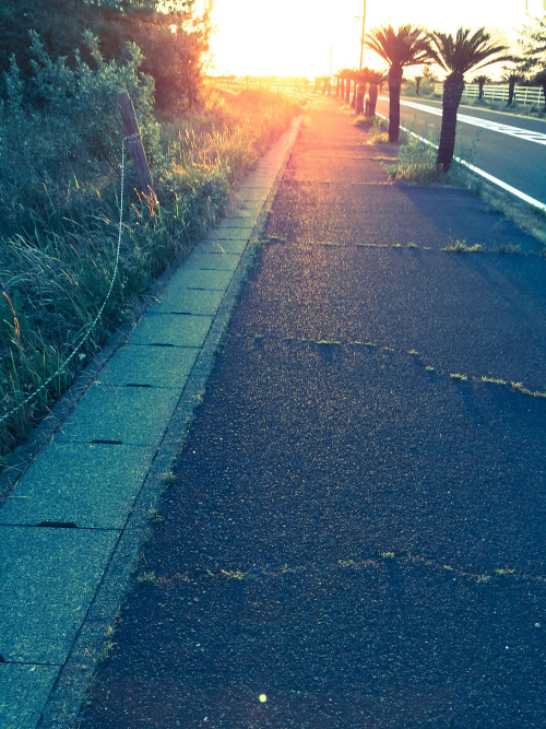 torippanashinajacony:  今日のジョギングは夕日に向かって走るかたちになった。海岸線に出るとカメラを持った人がちらほら。折り返しのところのも何人か撮ってたので僕も止まってiPhoneで撮る。折り返し後もなんかカメラマン（というか女性もいた）増えてる。で、また止まって撮る。3番目の写真の太陽、もうちょっと赤かったんだけどな。