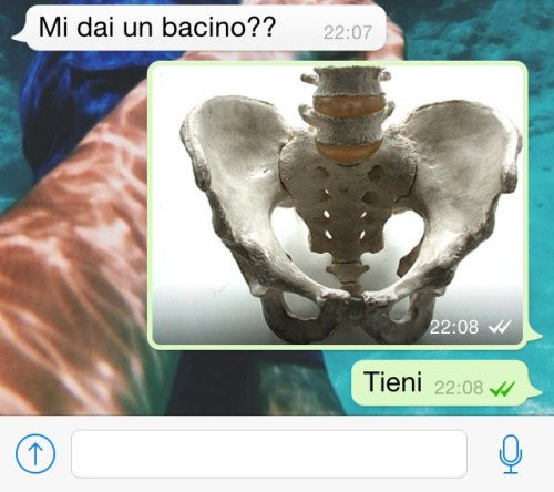 dreamerofpizza:  siamoioetecontroilmondo:  Non potete capire quanto stia ridendo in questo momento.  BICH PLEASE 