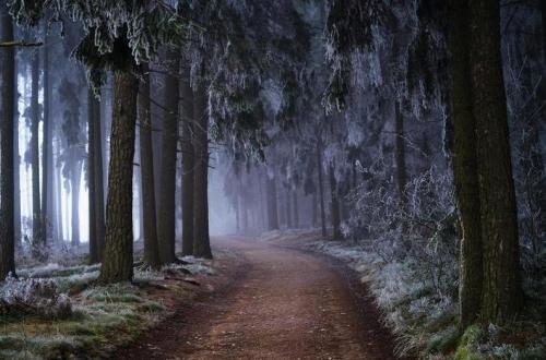sweetd3lights:  By Reinhard Hurt 