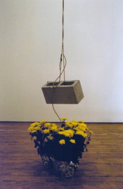 arterialtrees:  Bas Jan Ader, Light vulnerable objects threatened by eight cement bricks, 1970
