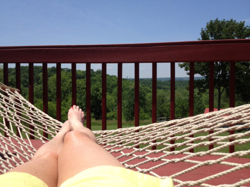 How can I be expected to dust or vacuum the house on a day like this? Just hanging on the deck with 