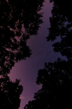 queenmoriarty:oh to be in love under the moon 🌙 