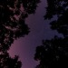 queenmoriarty:oh to be in love under the moon 🌙 