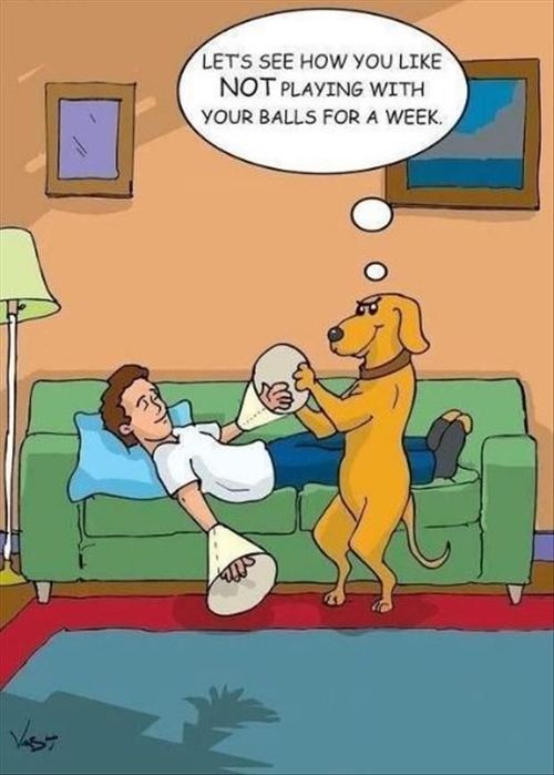 Funny cartoon jokes about old people