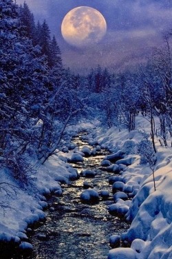 tinnacriss:  (via Kingdom Of The Ocean - heaven-ly-mind, Winter Creek by Peter From on | Incredible Pics)  