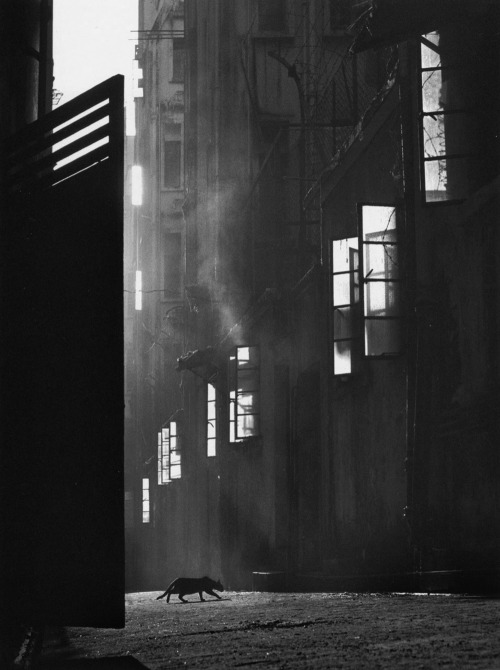 Fan Ho 何藩 (Chinese, b. 1937, Shanghai, China) - The Search from Hong Kong Yesterday, 1960, Photograp