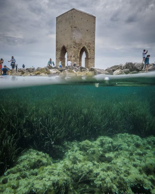 Stamani&hellip; Clean up Torre della Meloria @mpameloria #volgolivorno #andreadani #livorno_frie