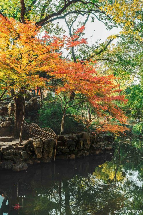 fuckyeahchinesegarden:拙政园zhuozhengyuan, suzhou, jiangsu province by 枫红叶落999