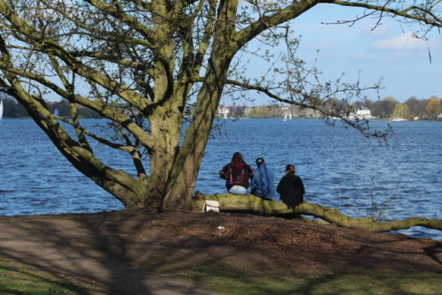 Alster