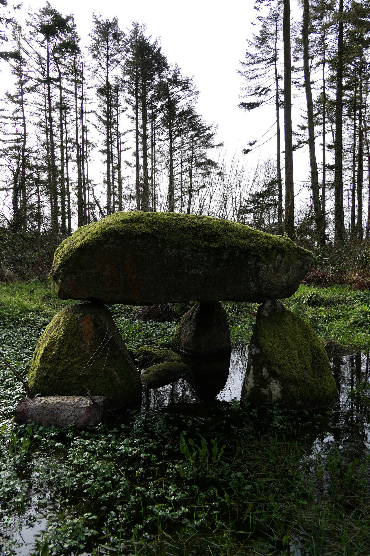 thesilicontribesman: Flooded Cromlech at Parc Glynllifon, North Wales, 16.2.18. It