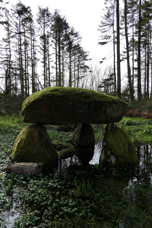 thesilicontribesman: Flooded Cromlech at Parc Glynllifon, North Wales, 16.2.18. It is uncertain whet