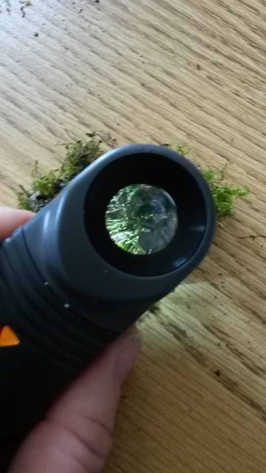 Some Images From The Free Moss Graffiti Workshop This Morning At The South London Botanical Institute.