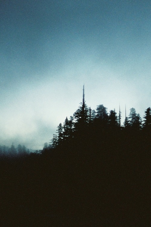 villere:  Twilight (by voetshy)