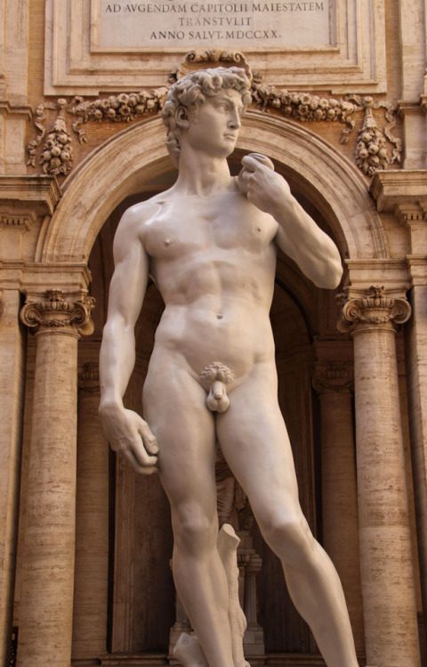 vivalcli:A copy of Michelangelo’s David on display in one of the Capitoline Museum’s courtyards. by 