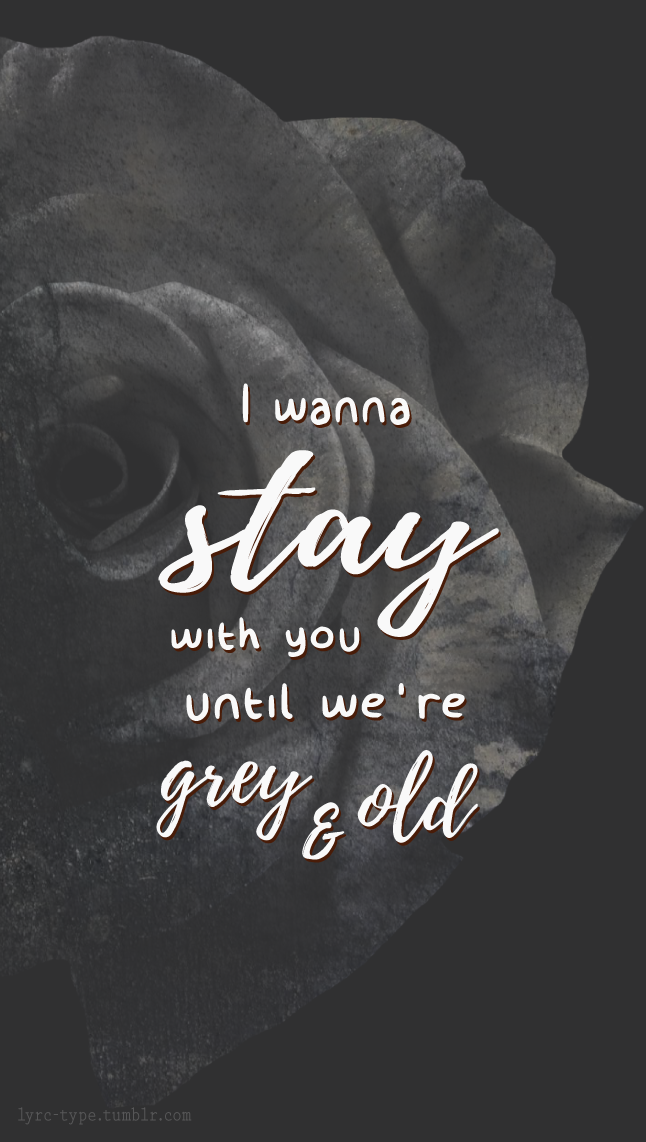 Just say you won't let go.  Song lyric quotes, Song lyrics wallpaper,  Favorite book quotes