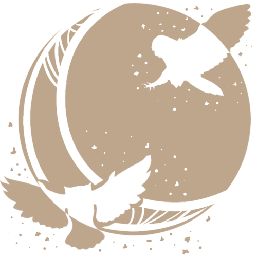 # Owl Themed