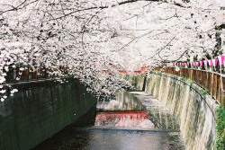 ileftmyheartintokyo:  untitled by Kkeina on Flickr. 