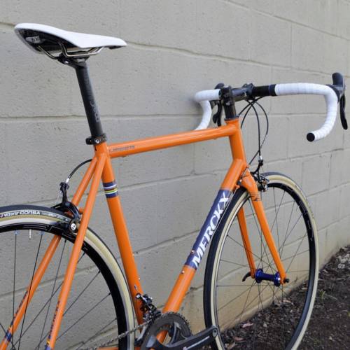 glorycycles: $2699 Eddy Merckx Liege 75 and Roubaix 70 Campagnolo Chorus Builds (Link in bio) #campa
