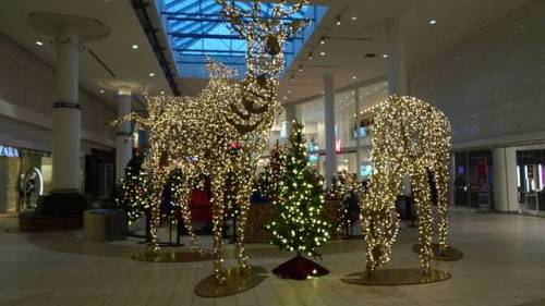 #chrismas #christmastree #christmaslights #yyc #chinookmall #chinookmallyyc #downtowncalgary
