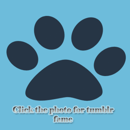 eusifu:  Sign up for FREE reblogs