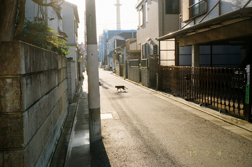 harukari:untitled by rooppe on Flickr.