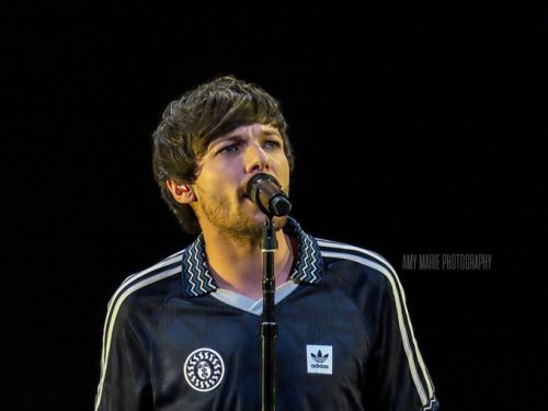 lthqs:Louis performing at Poptopia by Amy Marie