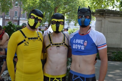 puppixel:Some pics from this year’s London Pride