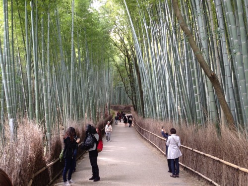 Ah, Arashiyama! Today we visited one of my favourite places, Arashiyama. I’d been there on my 