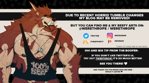 werethropelaporte:Since Tumblr’s recent update states adult content is no longer allowed by 17th/Dec
