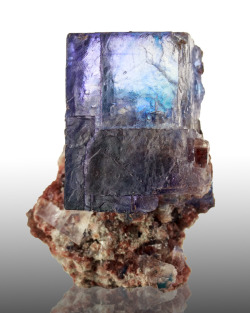 fuckyeahmineralogy:  Blue Halite; Intrepid Potash Mine, Carlsbad, New Mexico