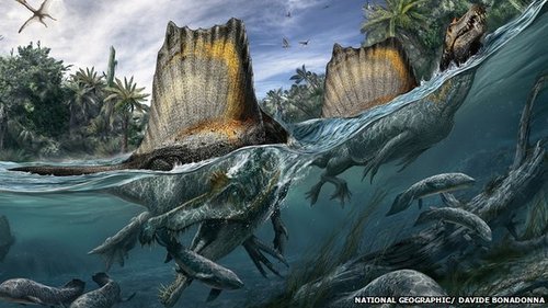 ScienceShot: Long-Nosed Dino Was No Fluke, Science