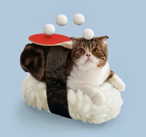 fer1972:  Sushi Cats by Tange &amp; Nakimushi Peanuts