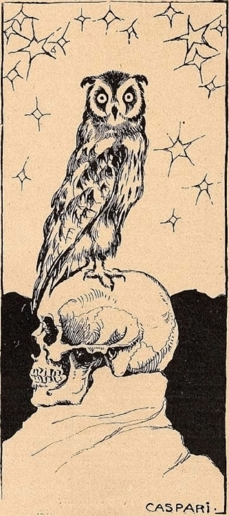 danskjavlarna: From Jugend, 1899. My favorite owls that I’ve encountered are roosting here. Sh