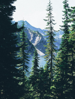 brunchataudreys:  snow lake, washington (x)