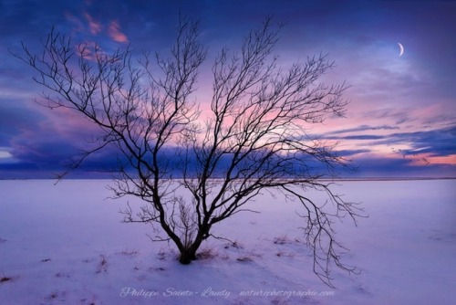 Photographer Philippe Sainte-Laudy (France)  500px  Facebook  Twitter  Instagram  