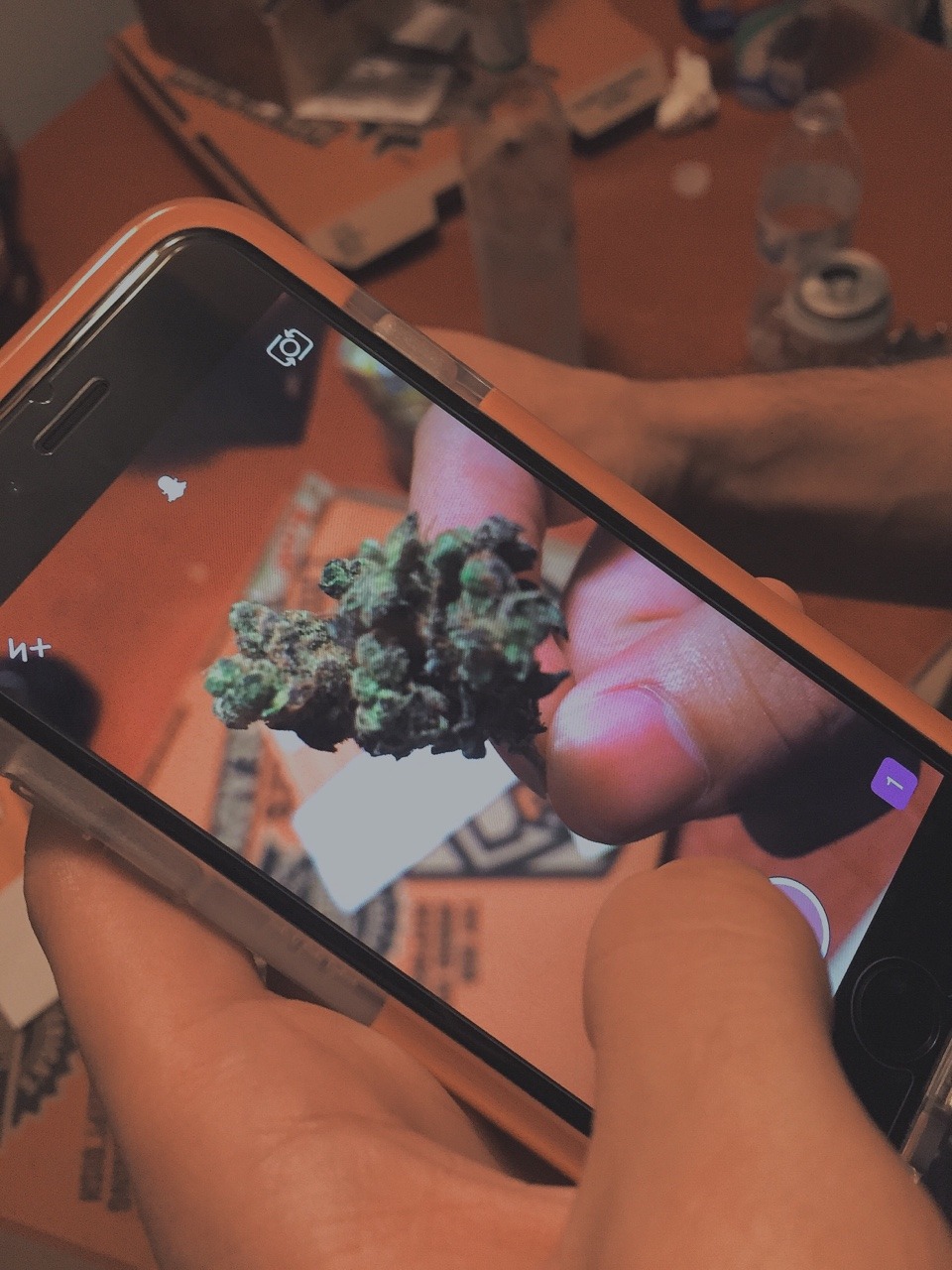 cannabisland:  http://cannabisland.tumblr.com/ 