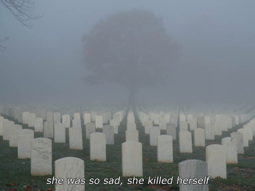 bleedinqs:  pretty pale blog xoxo 